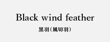 Custom-Made Duralumin Arrows (1813 / 2115) - Black Wind Feather