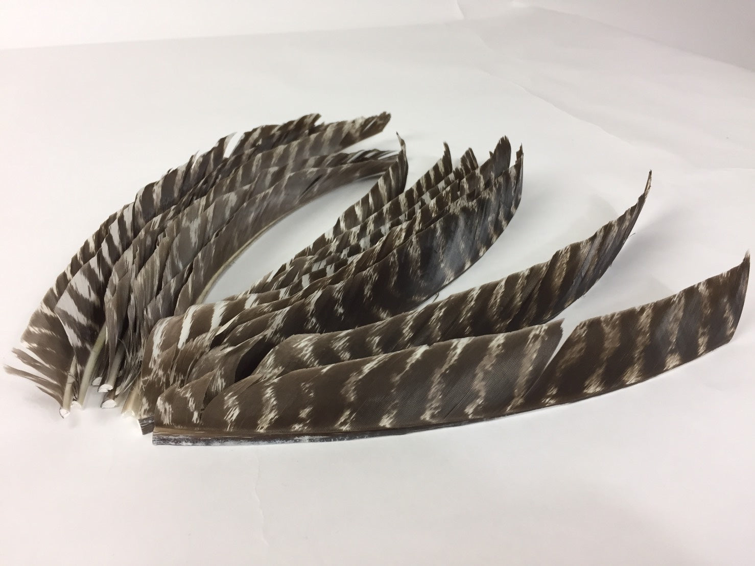 【R-002】Turkey Black End - Set of 18 ワイルドターキー 18枚セット