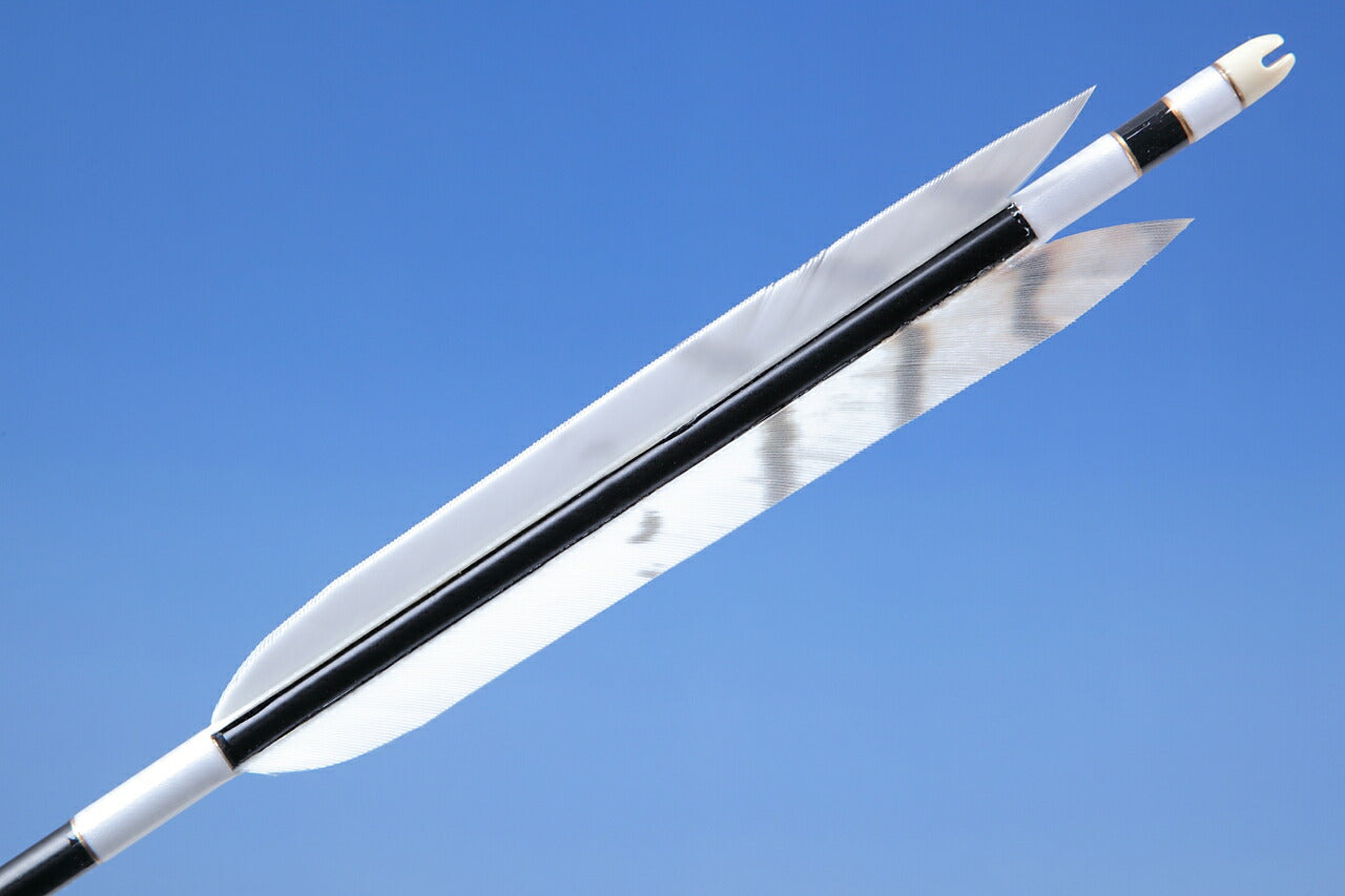 【O-157】Custom Order : オーダー矢 TurKey Art Wing - Set of 6 - Carbon Shaft カーボン ターキー美羽根シリーズ 2番