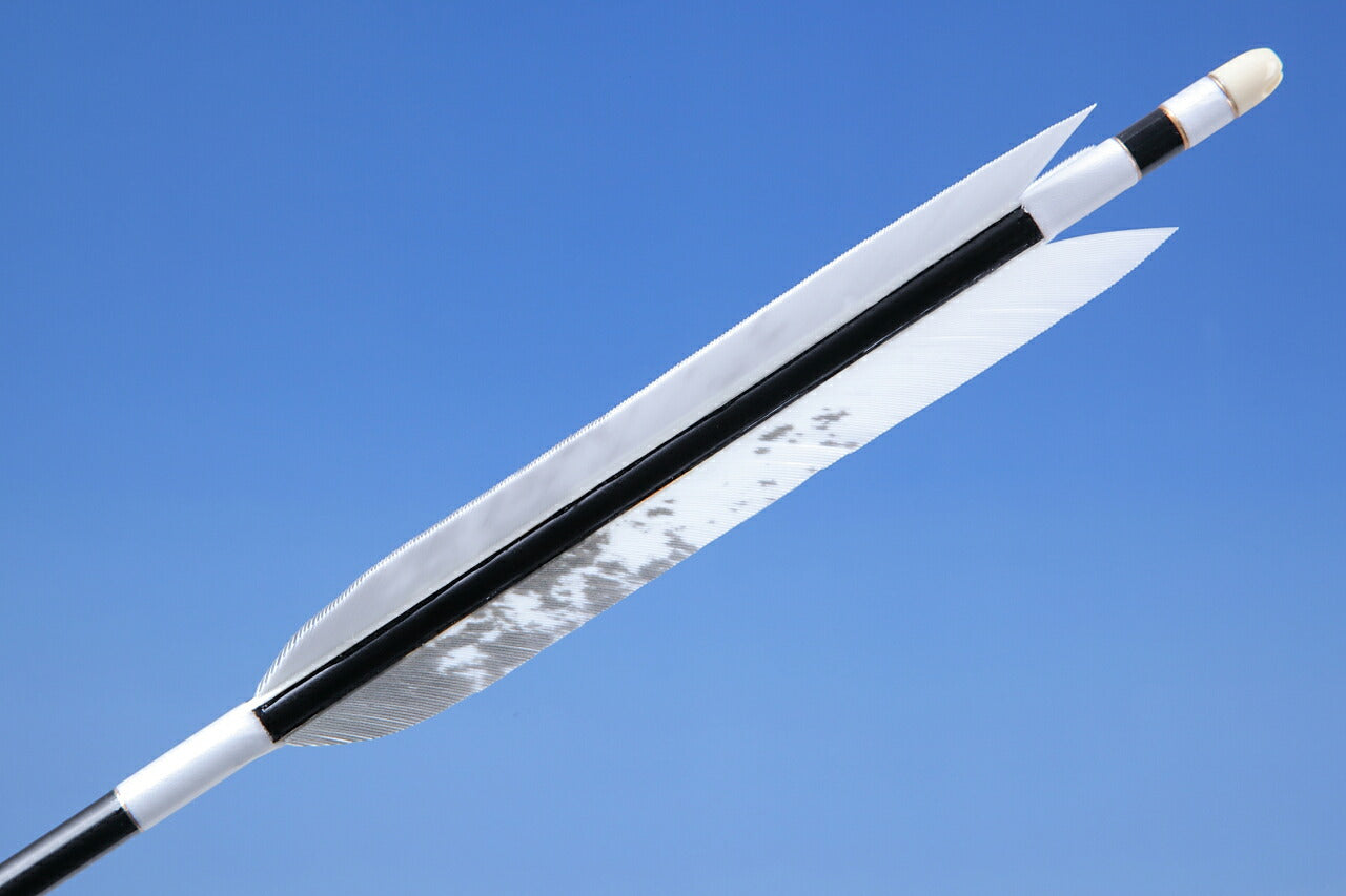 【O-167】Custom Order : オーダー矢 TurKey Art Wing - Set of 6 - Carbon Shaft カーボン ターキー美羽根シリーズ 12番