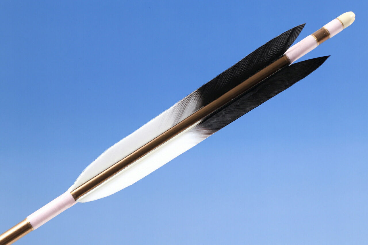 【O-020】Custom Order : オーダー矢 Black End Fletching - Set of 6 - Carbon Shaft カーボン ターキー先黒 6本組