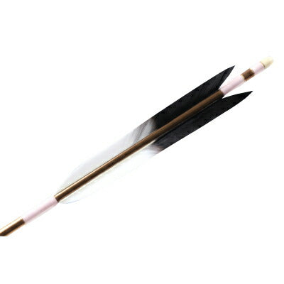 【O-002】Custom Order : オーダー矢 Black End Fletching - Set of 6 ターキー先黒 6本組