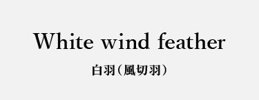 White wind feather(EASTON 1913) 白羽(風切羽)