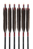 【D-1681】（DEAL of the season !!!）Black wing feathers - Set of 6 (Shaft Size 1913)黒手羽 B級品 1913 6本組 ジュラ矢