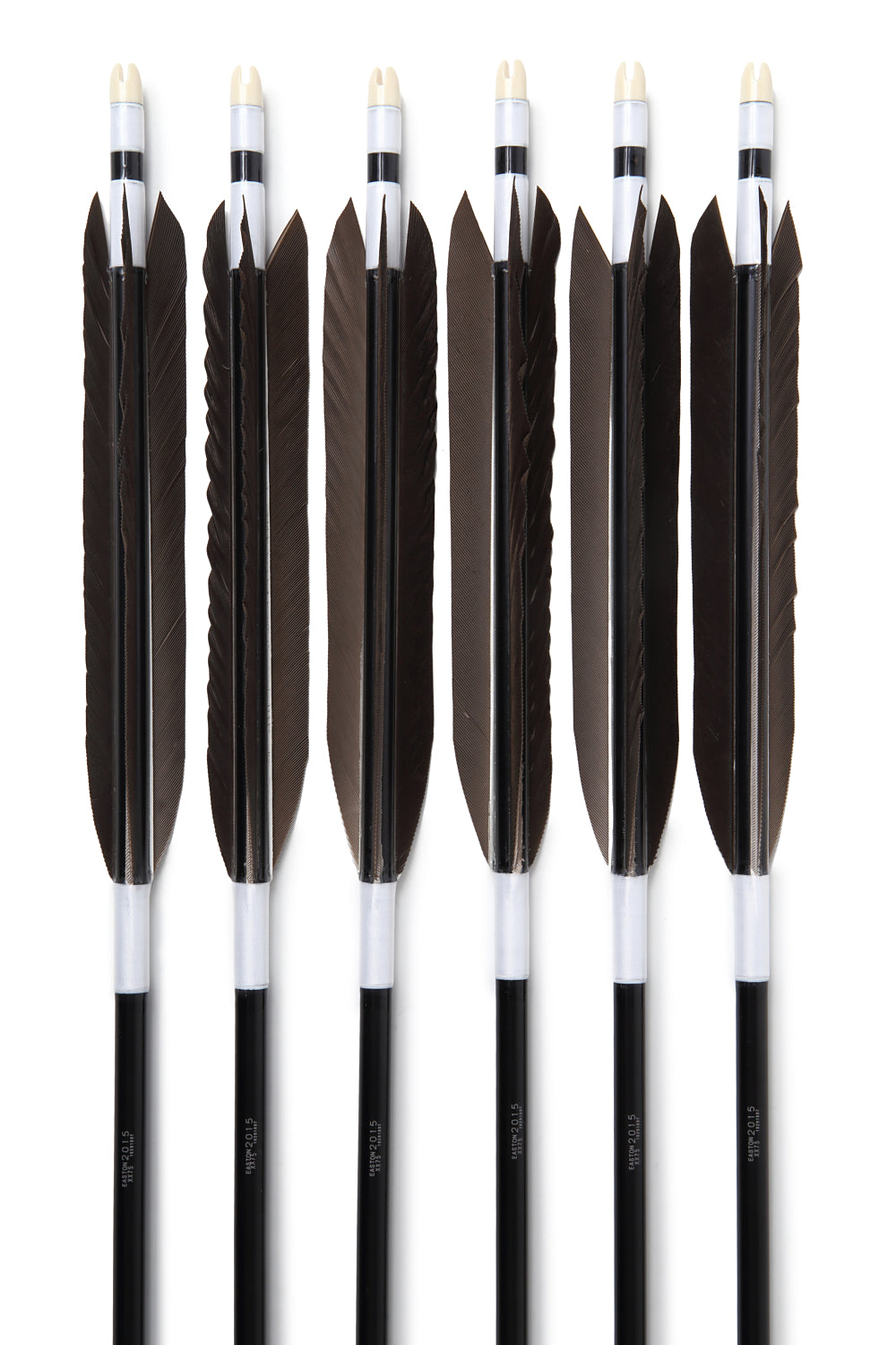 【D-1683】（DEAL of the season !!!）Black wing feathers - Set of 6 (Shaft Size 2015)黒手羽 B級品 2015 6本組 ジュラ矢