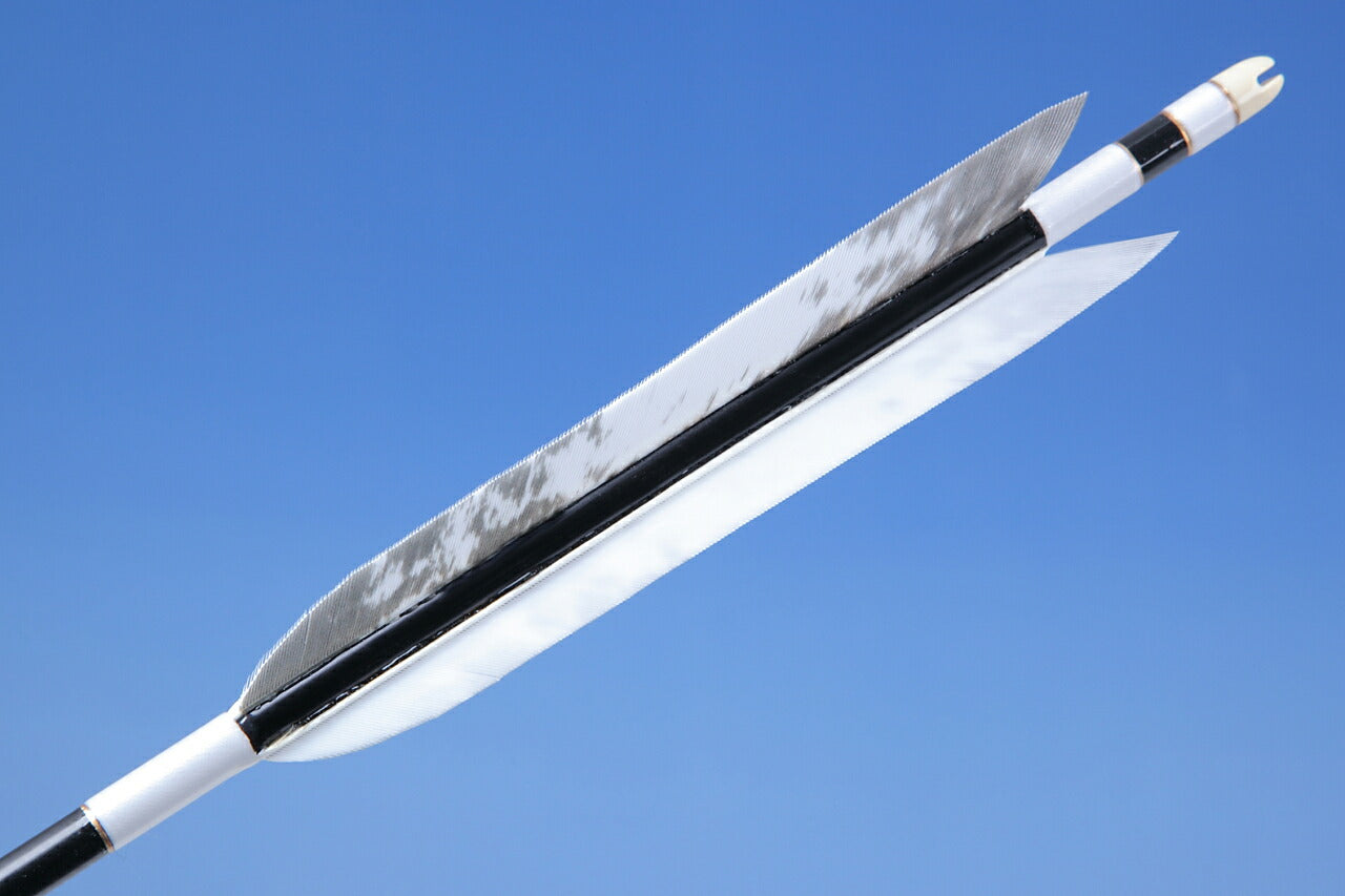 【O-170】Custom Order ： オーダー矢  TurKey Art Wing - Set of 6 -   Carbon Shaft カーボン ターキー美羽根シリーズ １５番