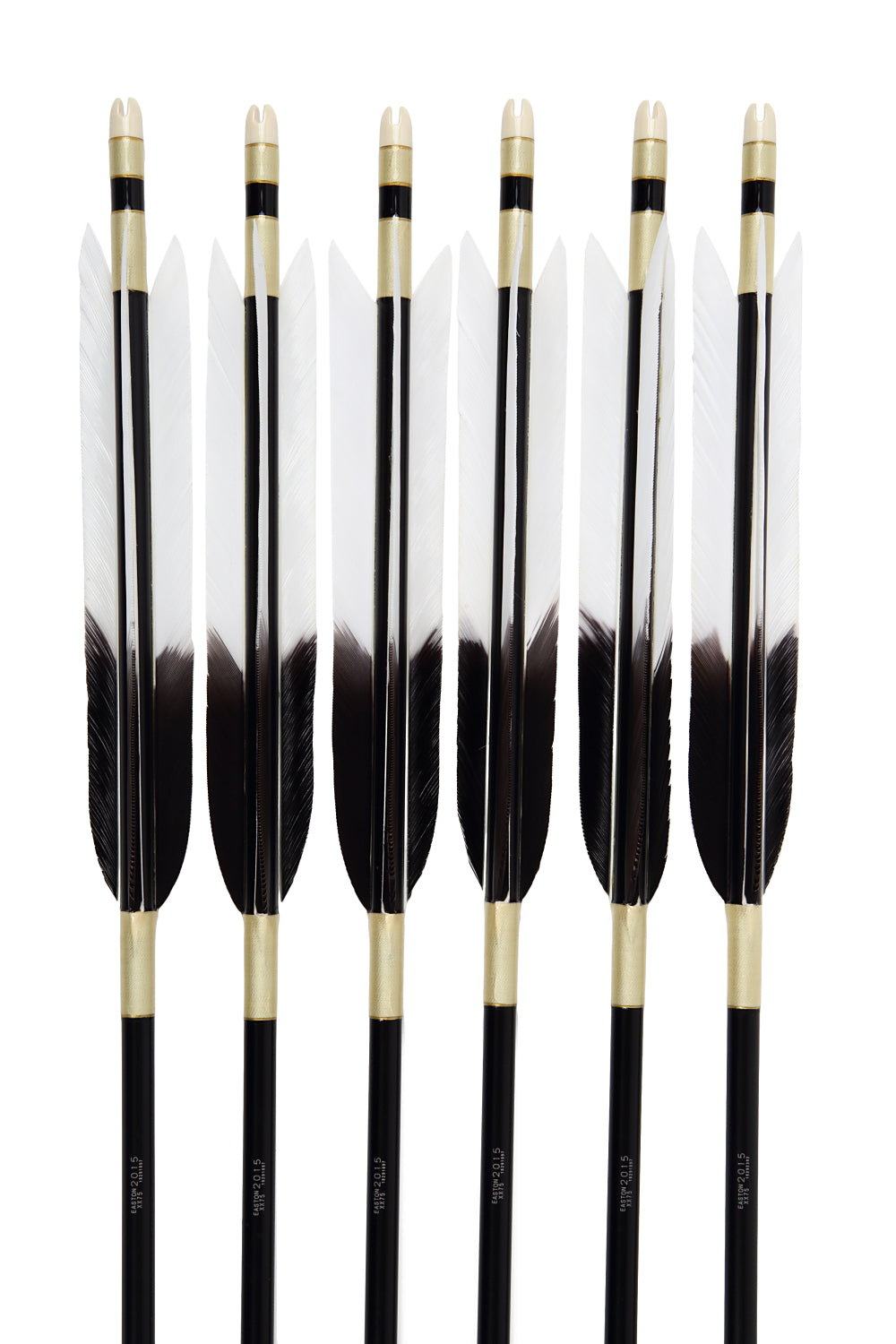 【D-1637】Black Fore Fletching - Set of 6 (Shaft Size 2015)ターキー元黒 2015シャフト 6本組