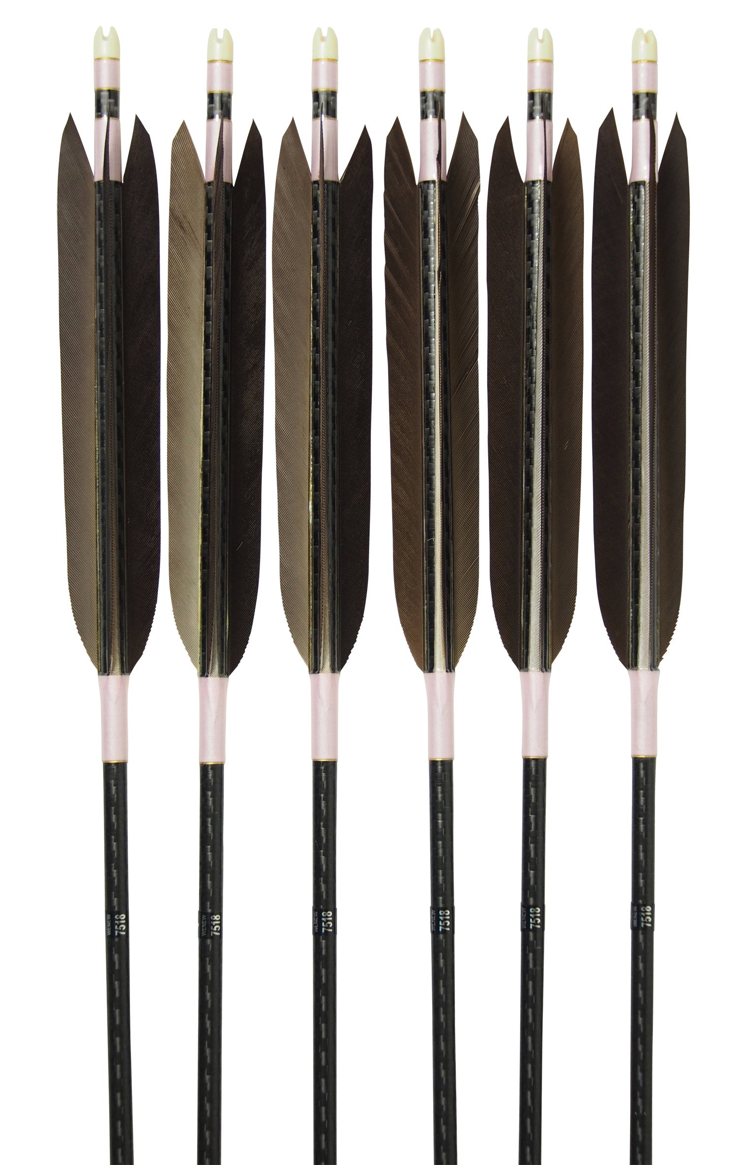 【D-1704】Black wing feather Fletching - Set of 6 (Mizuno Carbon WENEW7518) 黒手羽 ミズノカーボン ウィニュー 75-18 6本組