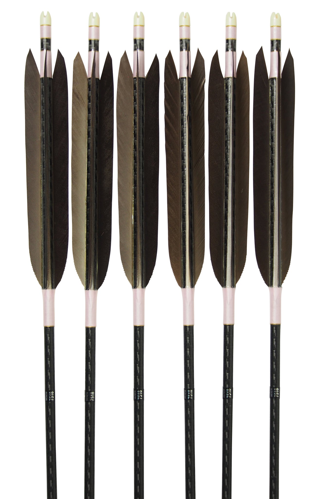 【D-1704】Black wing feather Fletching - Set of 6 (Mizuno Carbon WENEW7518) 黒手羽 ミズノカーボン ウィニュー 75-18 6本組