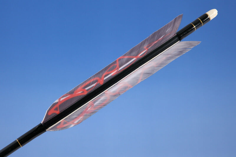 【O-108】Custom Order ： オーダー矢  TurKey Art Wing - Set of 6 -   Carbon Shaft カーボン ターキー風林火山 火 6本組